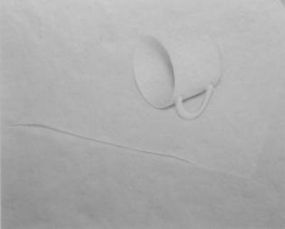 jed devine White Cup cd