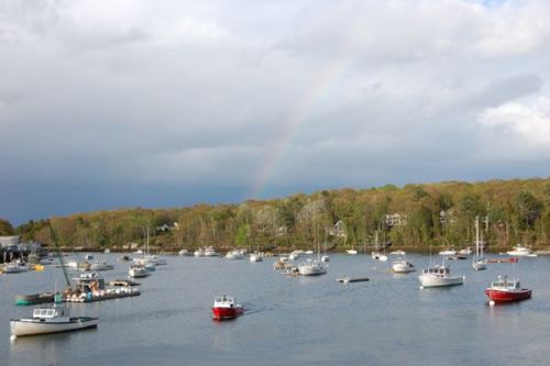 o harbor rainbow