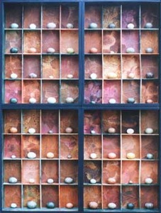 Woodland Egg Collection