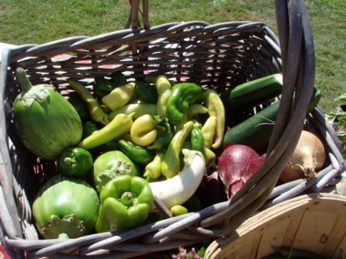 basket produce