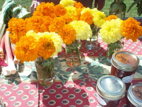 marigolds