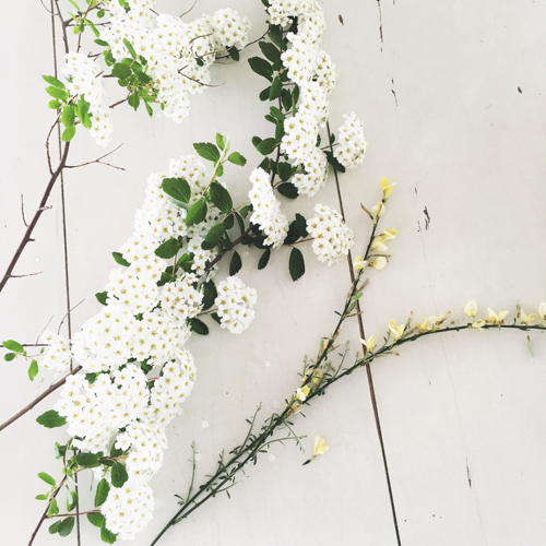 Sunday Bouquet Early(ish) Blooms on the Cape StyleCarrot